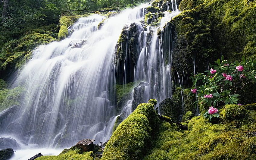 Paisaje Cascada, cascada, naturaleza fondo de pantalla