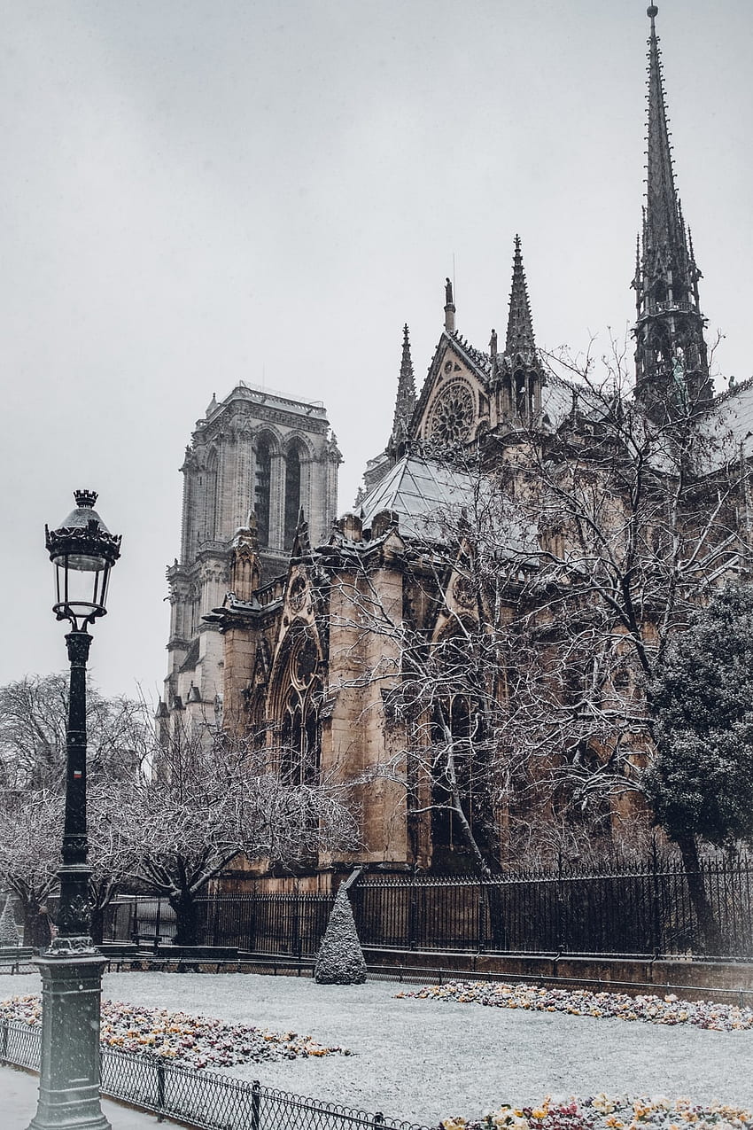 Paryska zima, gotycka zima Tapeta na telefon HD