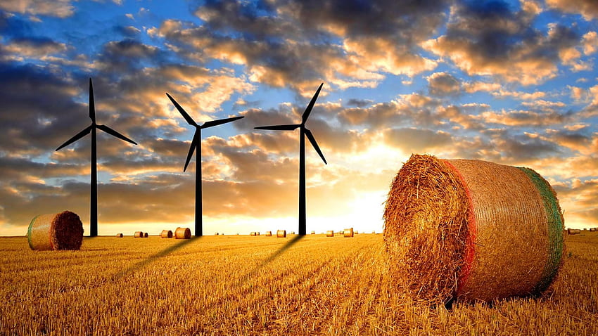 Windmill Farm HD wallpaper