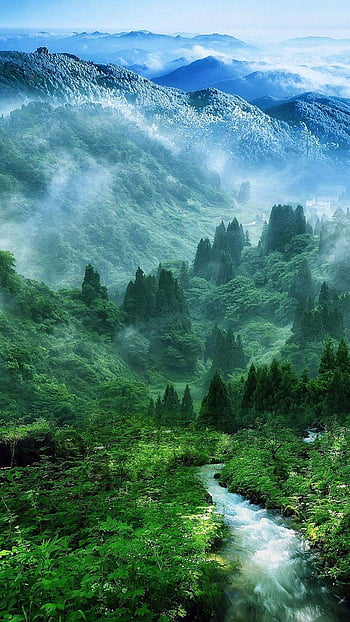 Wallpaper Nature, Hill Station, Vegetation, Highland, Natural Landscape,  Background - Download Free Image