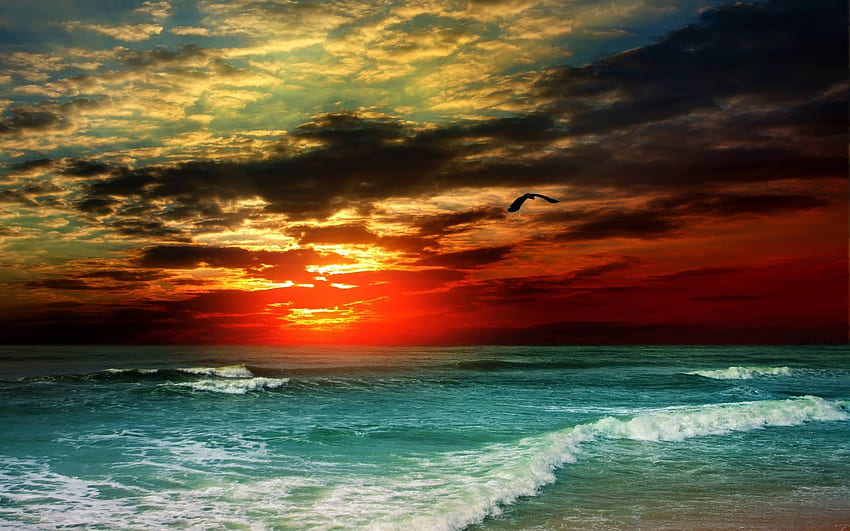 ocean at sunset, fun, cool, nature, sunset, ocean, beach HD wallpaper