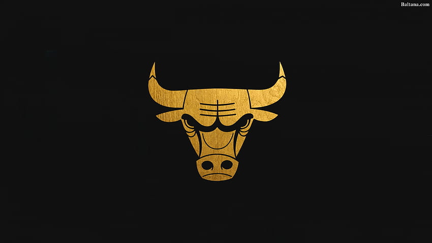Byk z Chicago, logo czarnych byków Tapeta HD