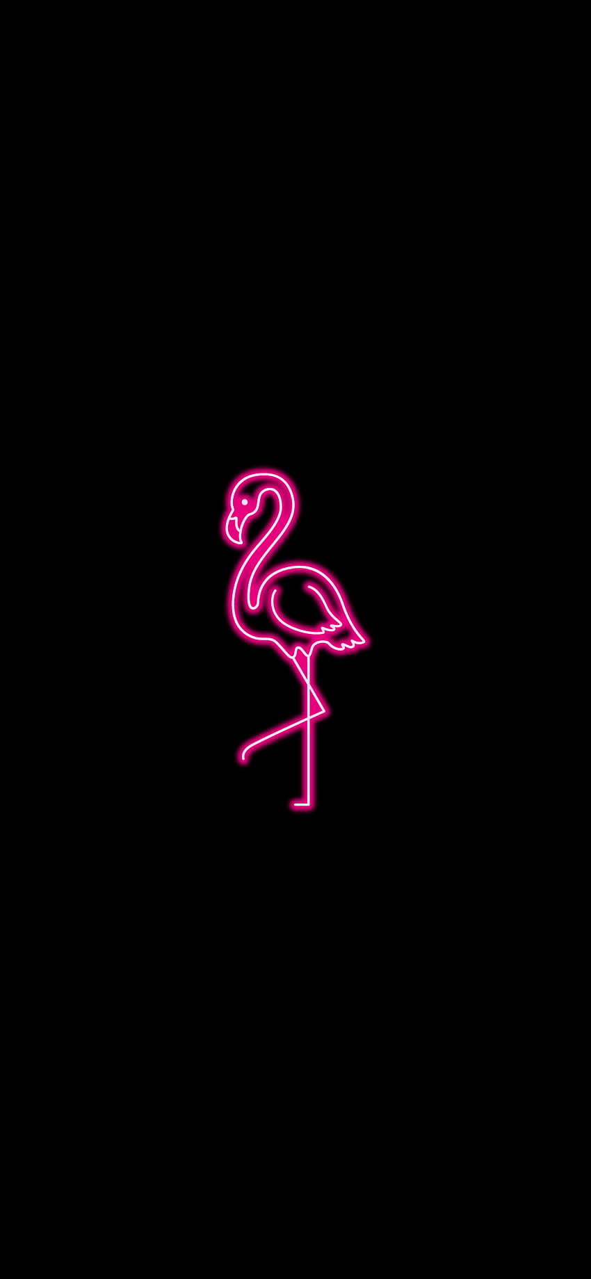 Amoled - Flamingo neon pink. iZe, Neon Pink Aesthetic HD phone wallpaper