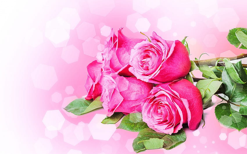 Rosa Blumenstrauß, Pastell, Blumenstrauß, Rosen, weich, schön, super, rosa, Natur, Blumen, erstaunlich, schön HD-Hintergrundbild