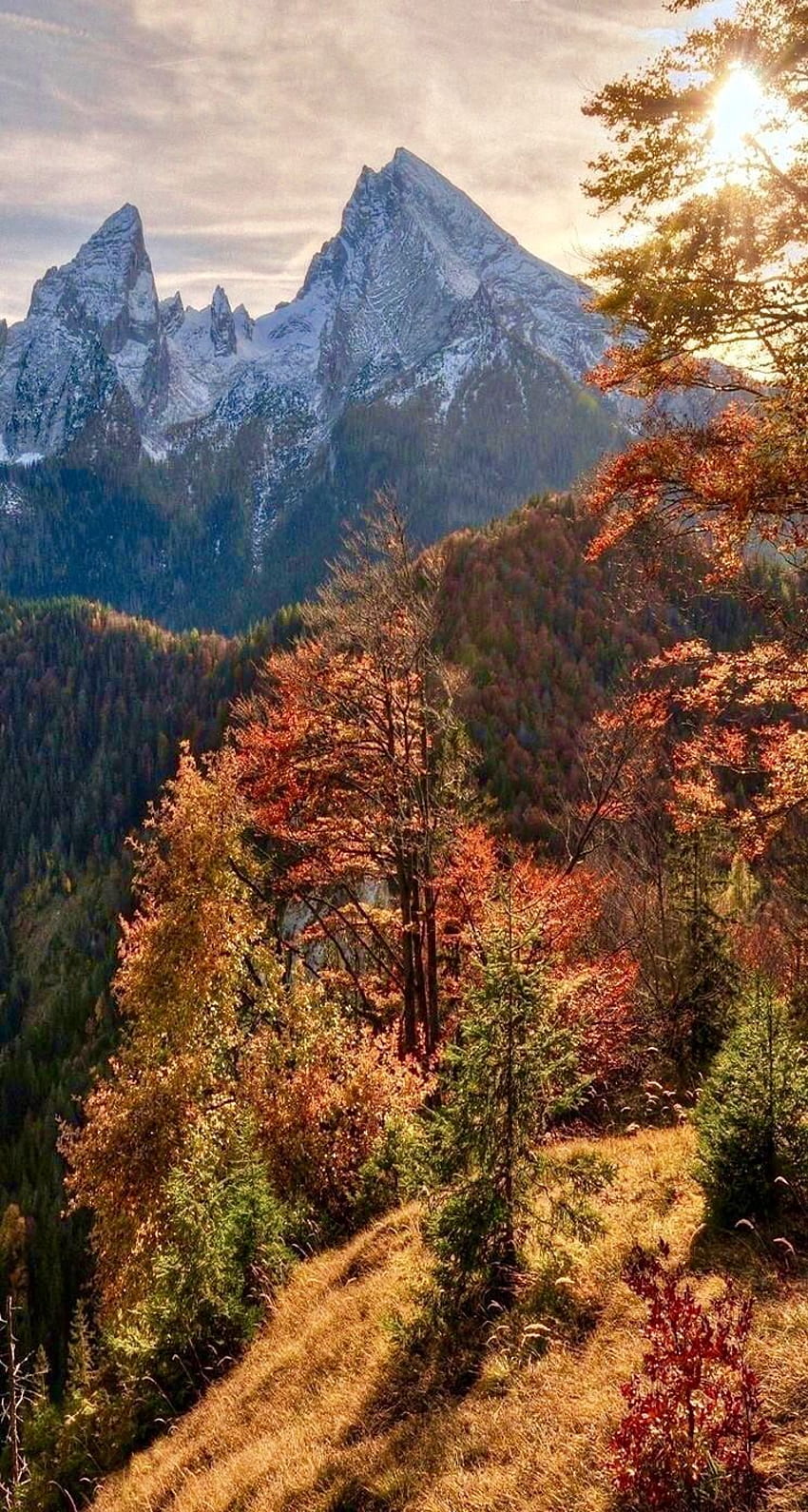 ܧ☀✧ GORGEOUS MOUNTAINS! SOME COVERED IN FALL FOLIAGE AND, Autumn Nature HD phone wallpaper