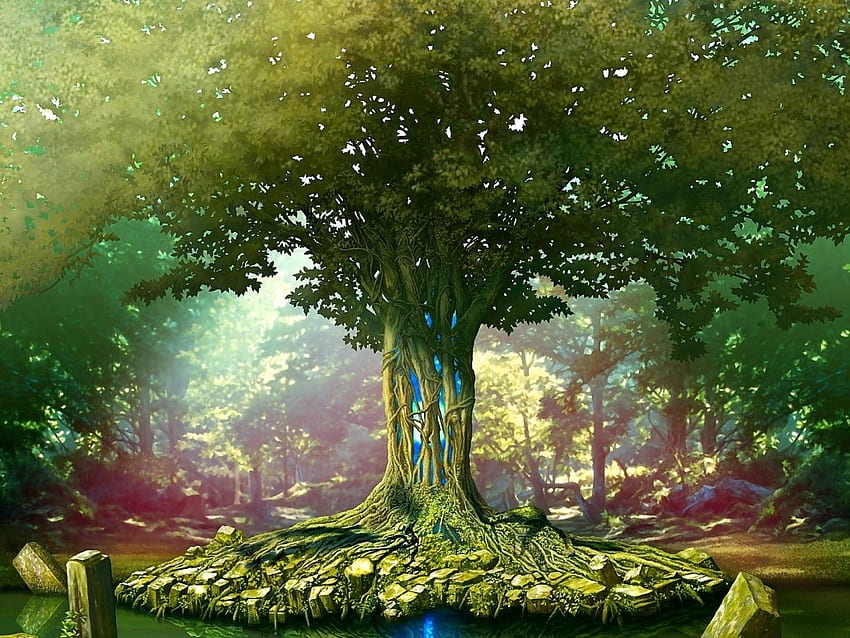 L'albero della vita, l'albero della vita Sfondo HD
