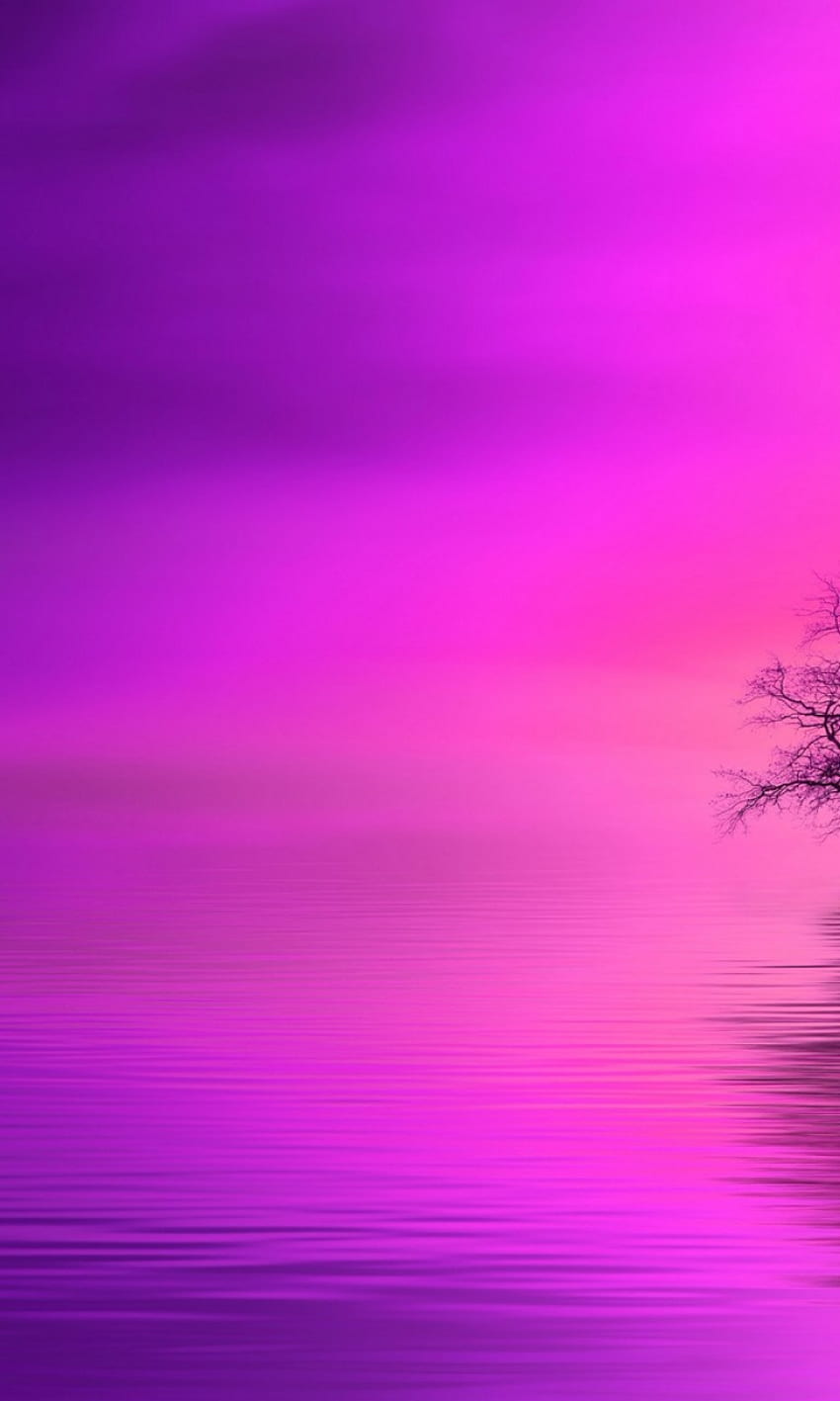 Tree under a pink horizon - - .net, 768X1280 HD phone wallpaper