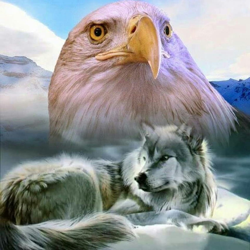 Wolves And Eagles, Native Eagle HD phone wallpaper