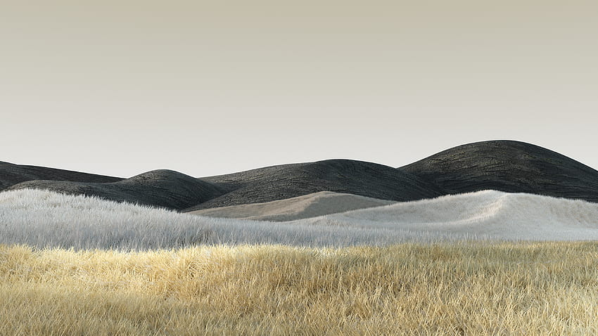 乾いた草のフィールド 黒い砂の山 青い空を背景 自然 高画質の壁紙