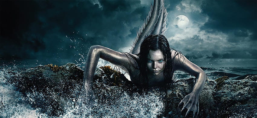Siren Page - Siren A Mermaid HD wallpaper | Pxfuel