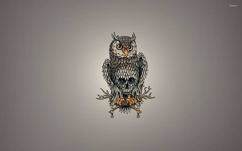 Skull owl - Vector HD wallpaper