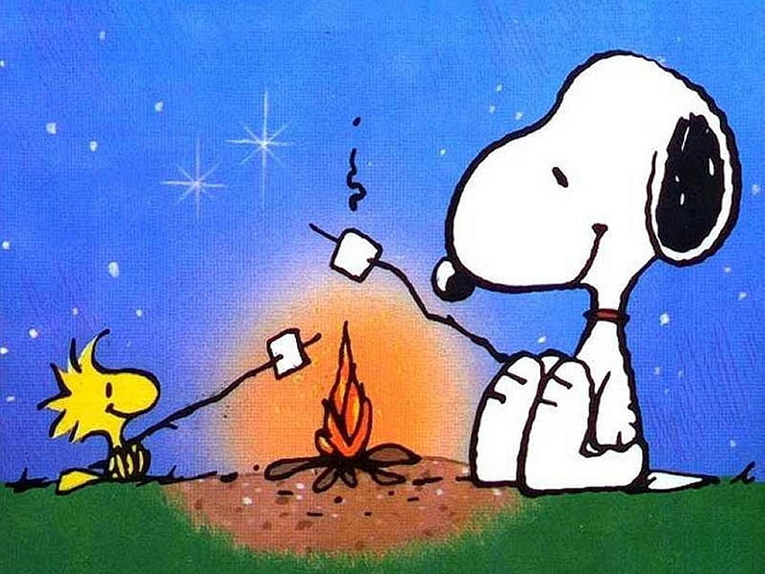 Snoopy & Woodstock Making smore's on a summer night.perfect. Snoopy and woodstock, Cartoon , Snoopy HD wallpaper