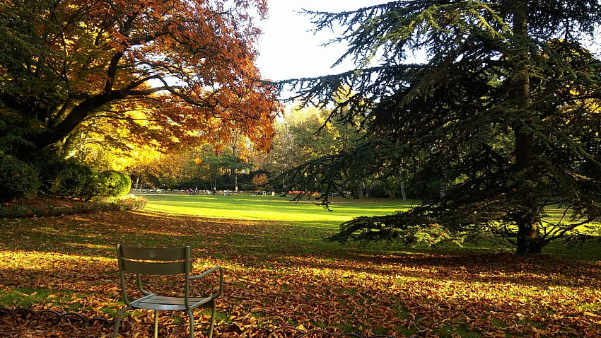 자연, 가을, 파리, 의자, 공원, 프랑스, ​​룩셈부르크 HD 월페이퍼