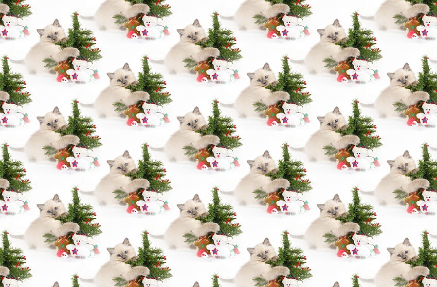 Texture, kitten, animal, white, craciun, cute, cat, paper, tree, pisica, green, christmas, red, pattern HD wallpaper