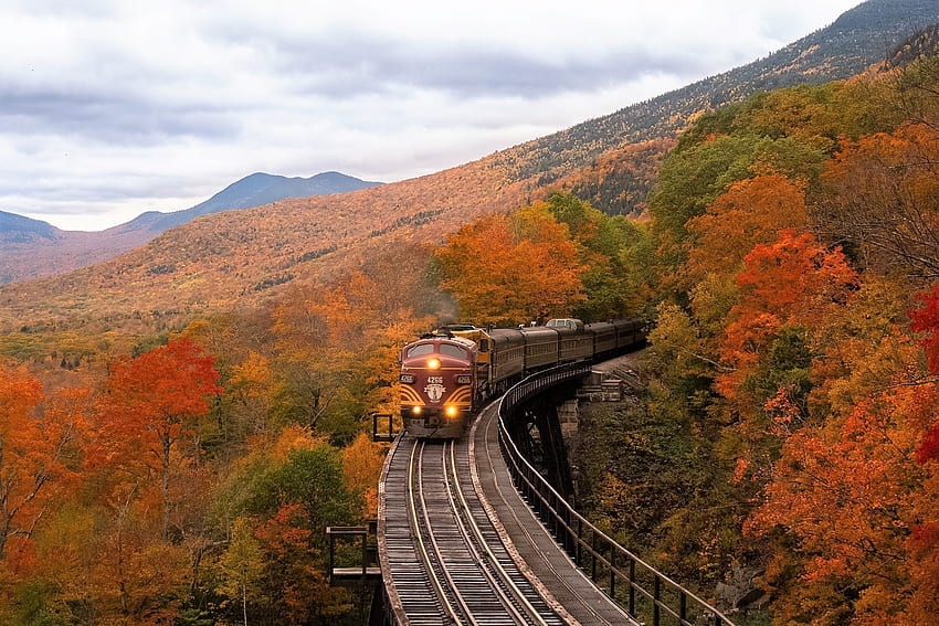Train, autumn, rails, sky HD wallpaper
