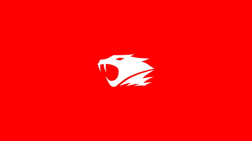 Ibp Logo Hd