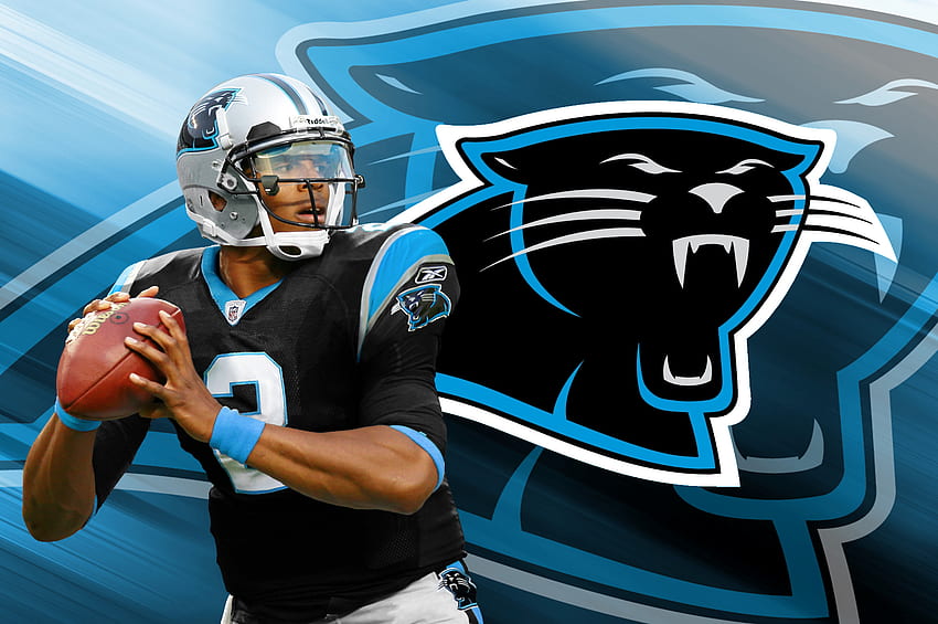 Carolina panthers 1080P, 2K, 4K, 5K HD wallpapers free download