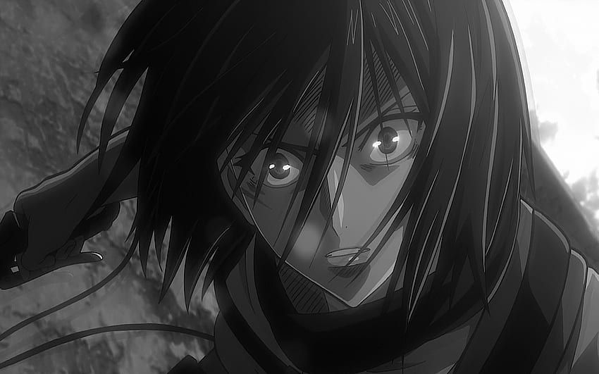 진격의 거인 Black Amp White Mikasa Ackerman Shingeki No Kyojin - 해결: HD 월페이퍼