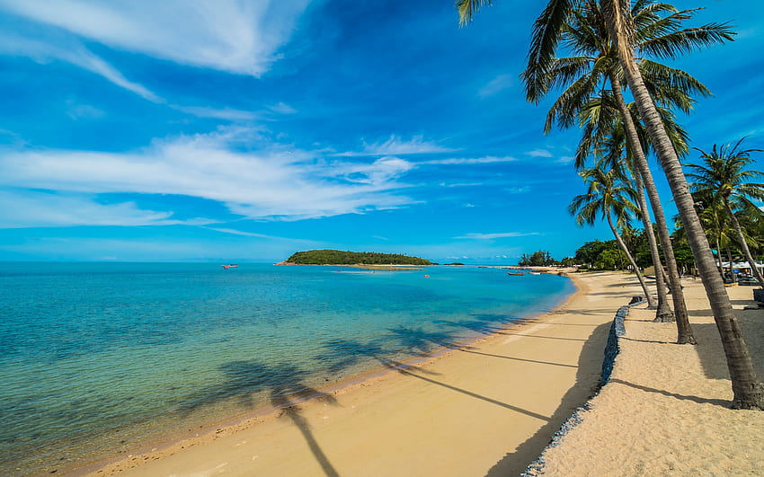 Pantai tropis yang indah dengan pohon kelapa, Liburan, Langit biru, Awan, Laut Wallpaper HD