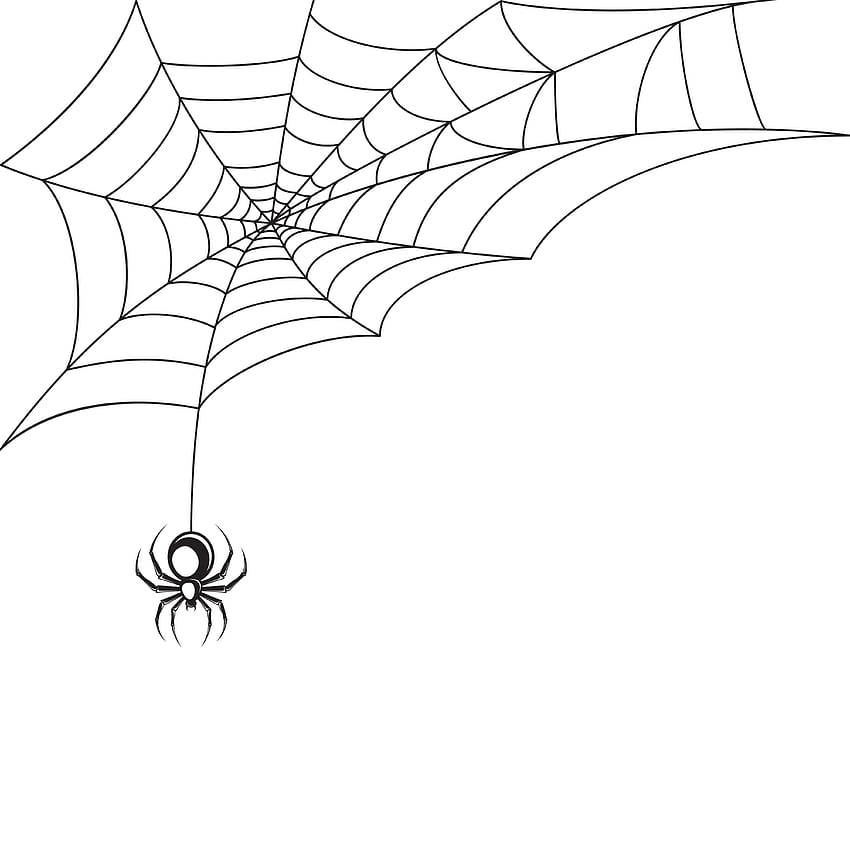Spinnennetz - Vektoren, Clipart-Grafiken und Vektorgrafiken, Spinnennetz HD-Handy-Hintergrundbild