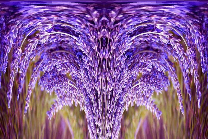 Floppy-Bündel, Textur, lila, abstrakt, Lavendel HD-Hintergrundbild