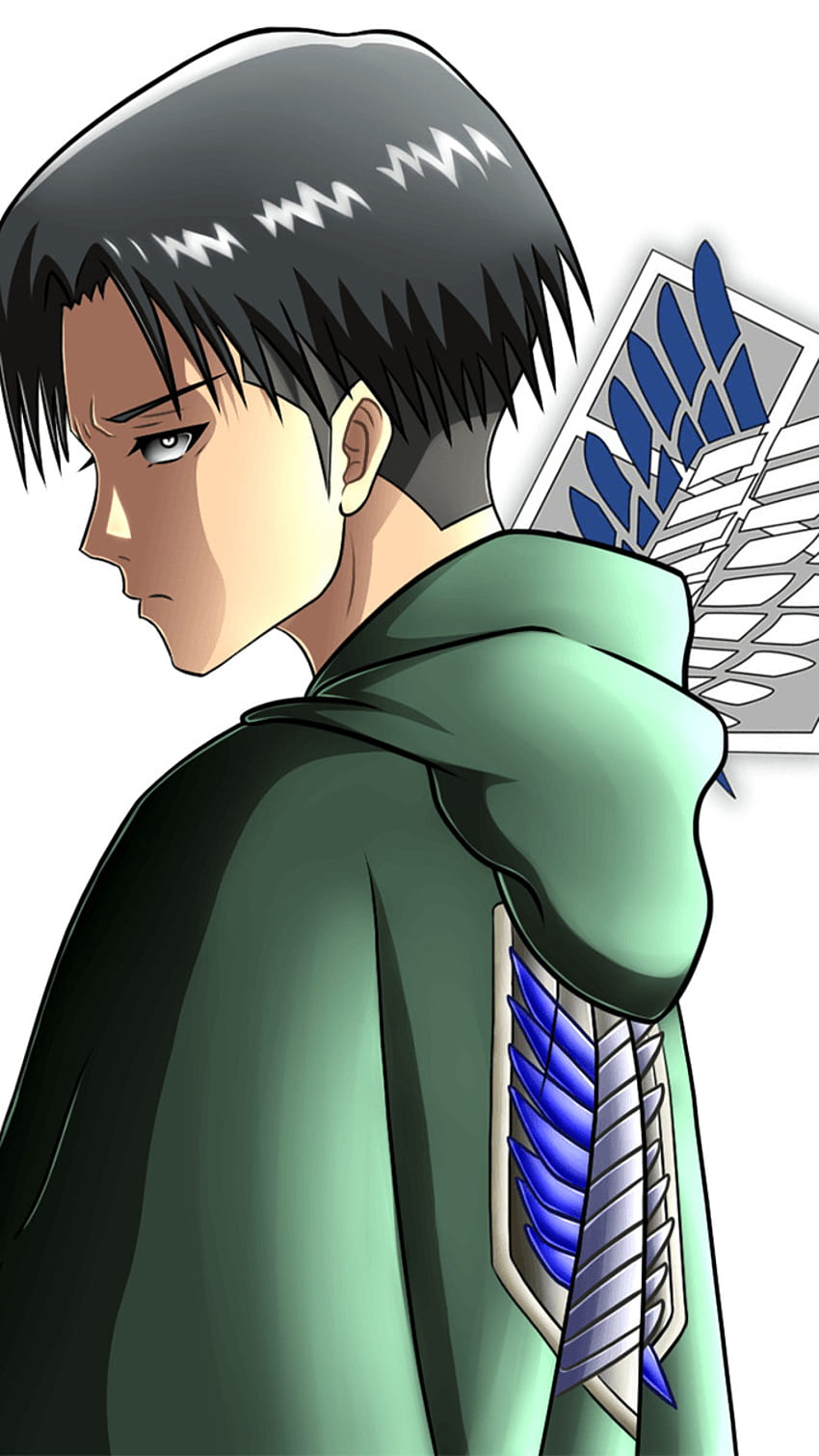 Which character in anime is the same like Levi Ackerman from a personality  aspect  Quora