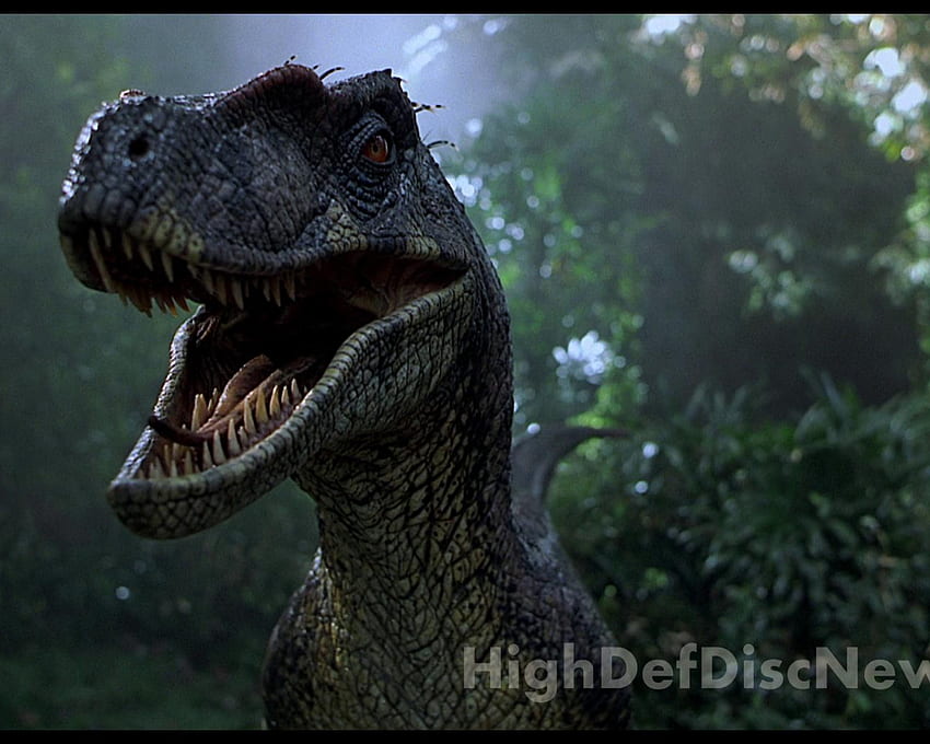 Für Jurassic Park 3 Spinosaurus [] für Ihr , Handy & Tablet. Entdecken Sie Spinosaurus. Tyrannosaurus Rex, Windows T-Rex-Katze, T-Rex HD-Hintergrundbild