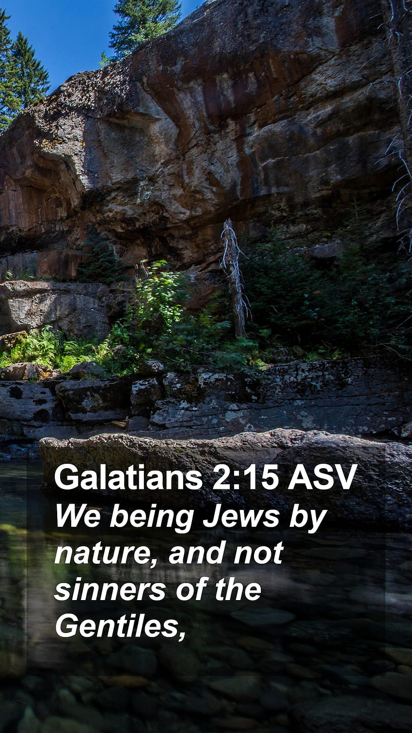 Galatians 2:15 ASV Mobile Phone - We being Jews by nature, and not sinners of the, Nature Bible HD phone wallpaper
