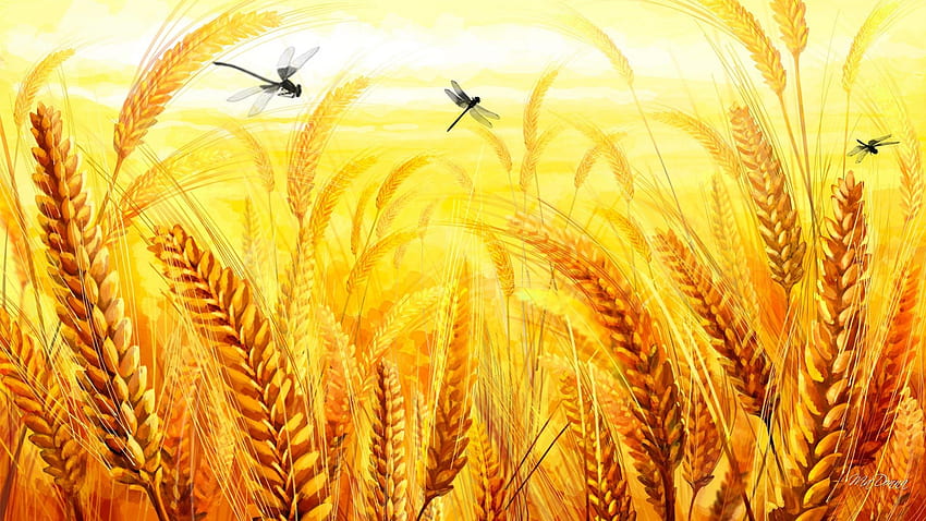 Grains of Gold, fall, grain, dragonflies, gold, oats, crop, agriculture, field, wheat, autumn, Thanksgiving HD wallpaper