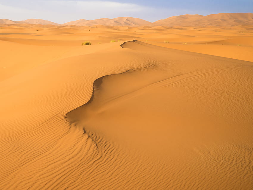 Nature, Sand, Desert, Hills, Traces, Dunes HD wallpaper | Pxfuel
