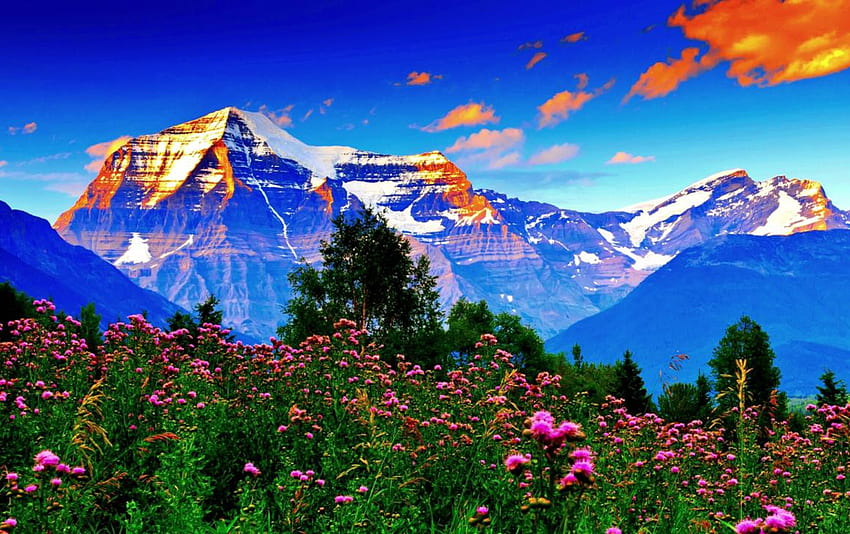 Harika Bahar Çayırı, bulutlar, çayır, doğa, çiçekler, bahar, dağlar HD duvar kağıdı