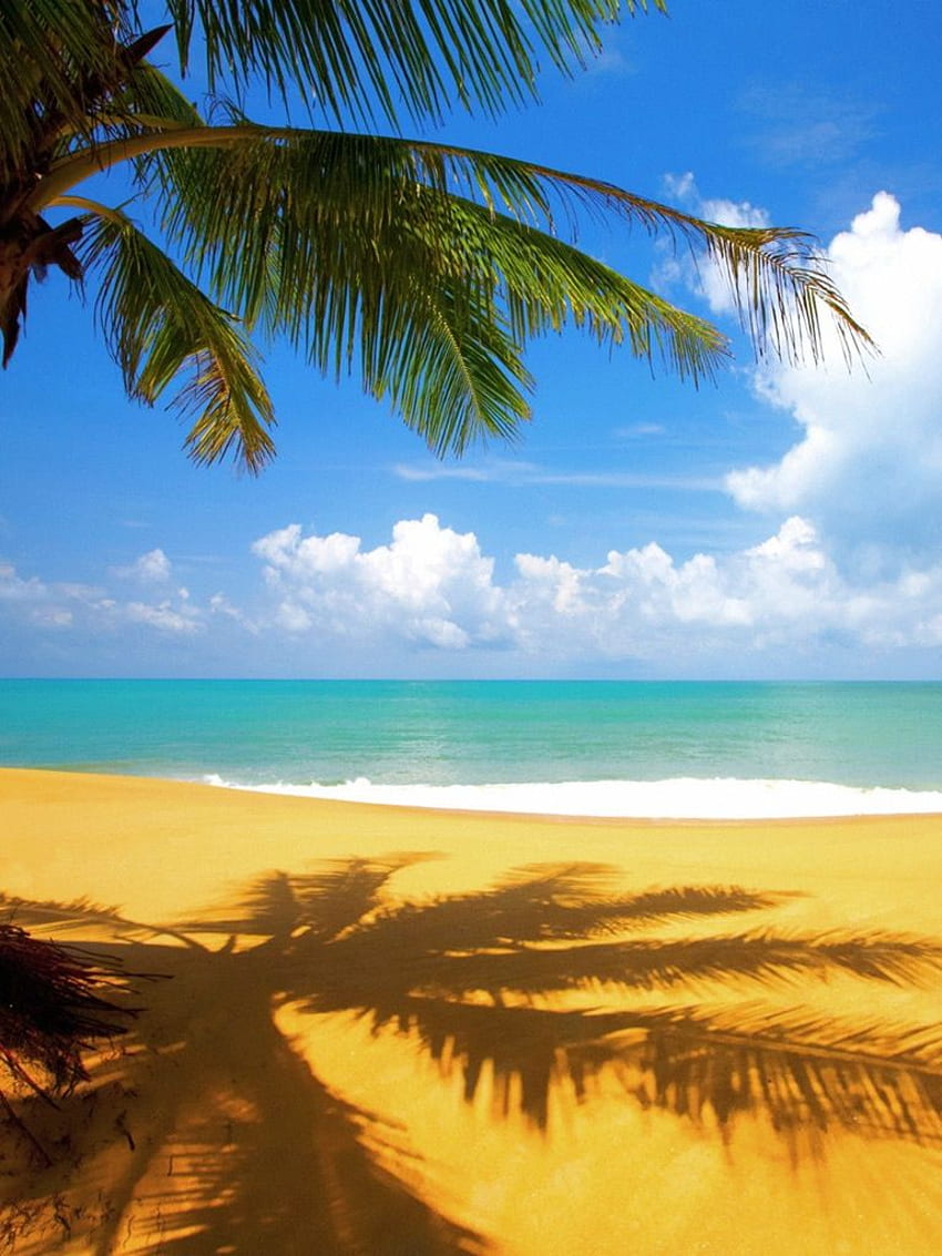 Cenário pano de vinil céu azul mar praia pano de fundo para casamento de férias de crianças. Enorme, Retrato da Praia Papel de parede de celular HD