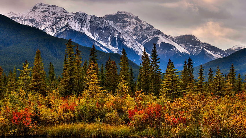 Canadian Rockies, Banff NP, Alberta, leaves, fall, colors, landscape, autumn, clouds, trees, sky HD wallpaper