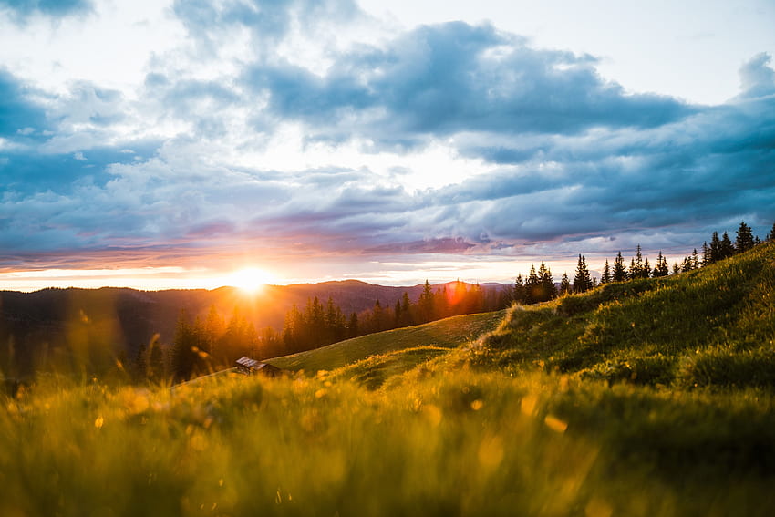 ดวงอาทิตย์ ภูมิทัศน์ ภูเขา ต้นไม้ ธรรมชาติ รุ่งอรุณ แสงแดด ทุ่งหญ้า รังสีดวงอาทิตย์ วอลล์เปเปอร์ HD