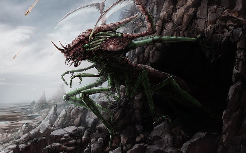 Art monster cave rocks stones insect dark creature . . 129211 HD wallpaper