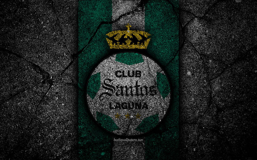 Santos Laguna FC, logo, Liga MX, football, soccer, Primera Division, black stone, Mexico, Santos Laguna, asphalt texture, football club, FC Santos Laguna for with resolution . High Quality HD wallpaper
