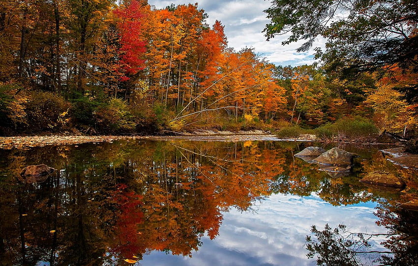 Autumn, forest, clouds, trees, river, stones, USA, Maine Forest HD ...