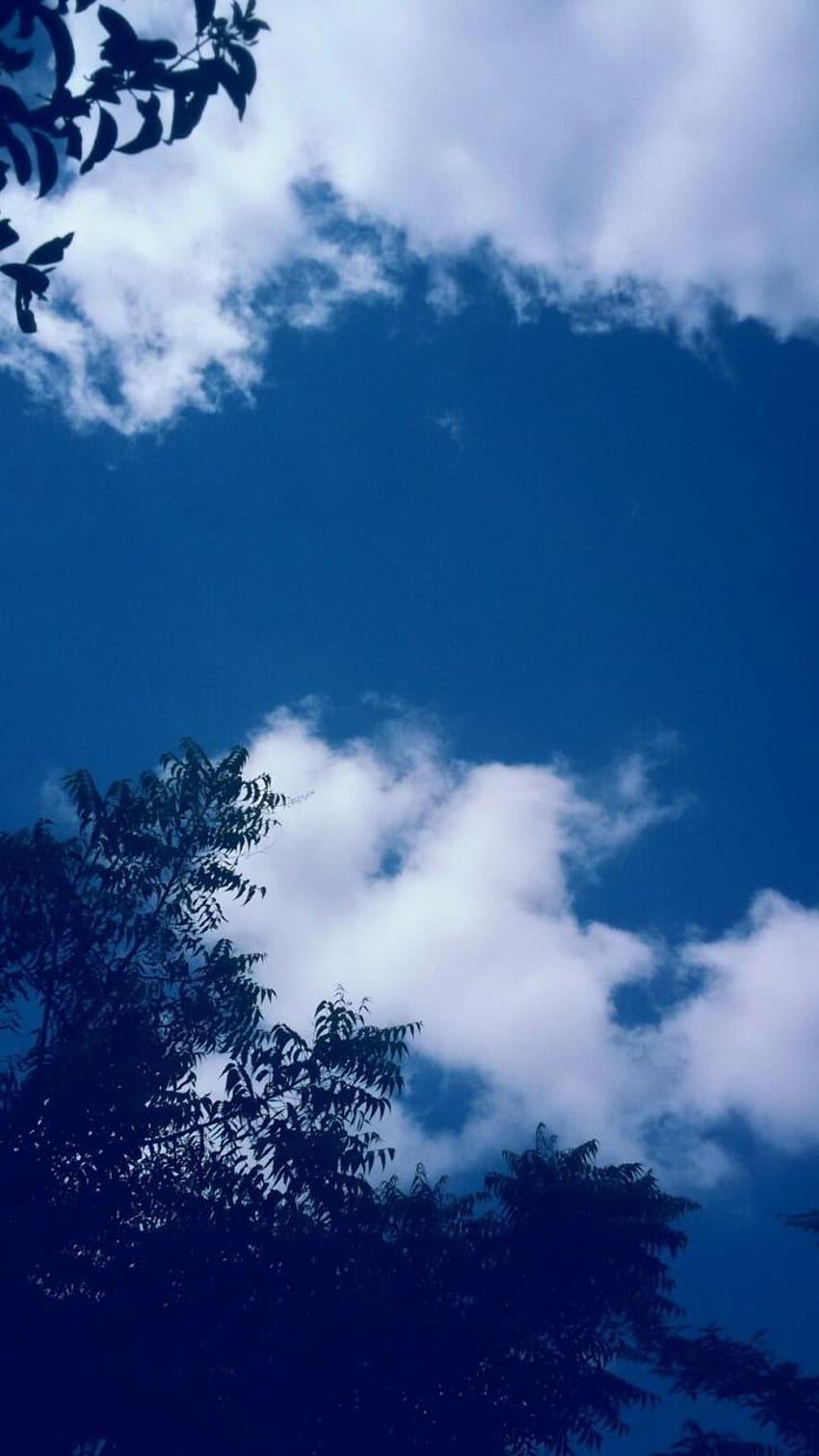 : Blau, Ästhetisch, Wolke, , Top, , Blau, Ästhetisch, Pastellblau Ästhetische Wolken HD-Handy-Hintergrundbild