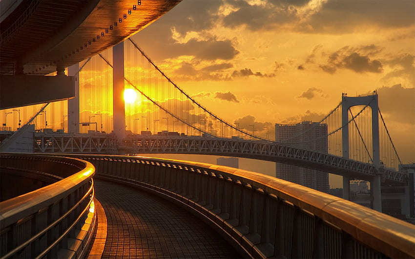 Diariamente: Puente del Arco Iris de Odaiba. Me gusta perder el tiempo, Rainbow Bridge Tokio Japón fondo de pantalla