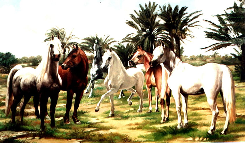 Jabbour Horses, horses, painting, animals HD wallpaper