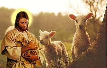 Jesus good shepherd HD wallpapers | Pxfuel