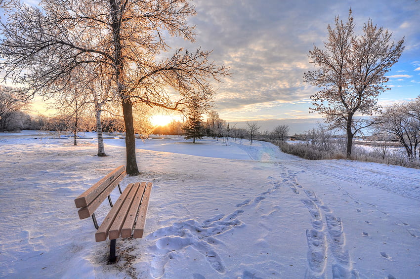 Winter, Nature, Snow, Dawn, Bench, Traces HD wallpaper