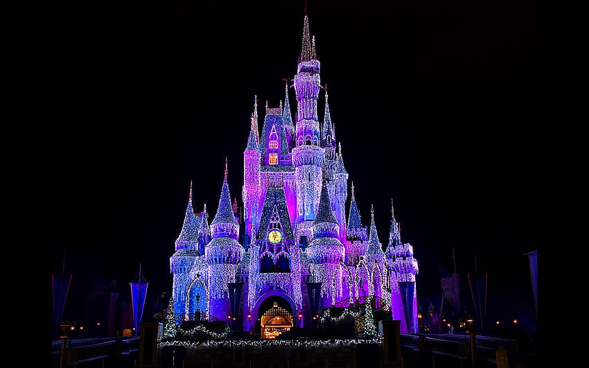 Walt Disney World for background, Disney World Winter HD wallpaper