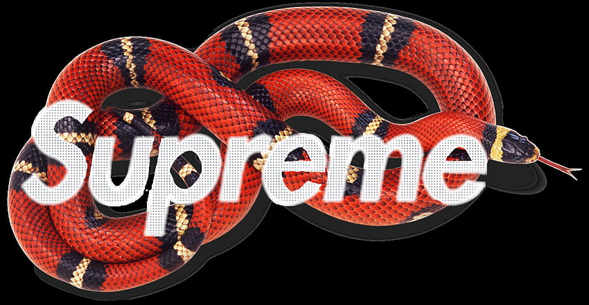 gucci supreme logo