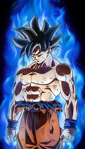 Dragon Ball Z Images Goku Hd Wallpaper And Background  Dragon Ball Z Png  Transparent PNG  707x1131  Free Download on NicePNG