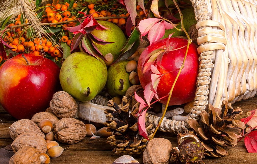 Fruit, nuts, basket, bumps, Rowan, the gifts of autumn HD wallpaper ...