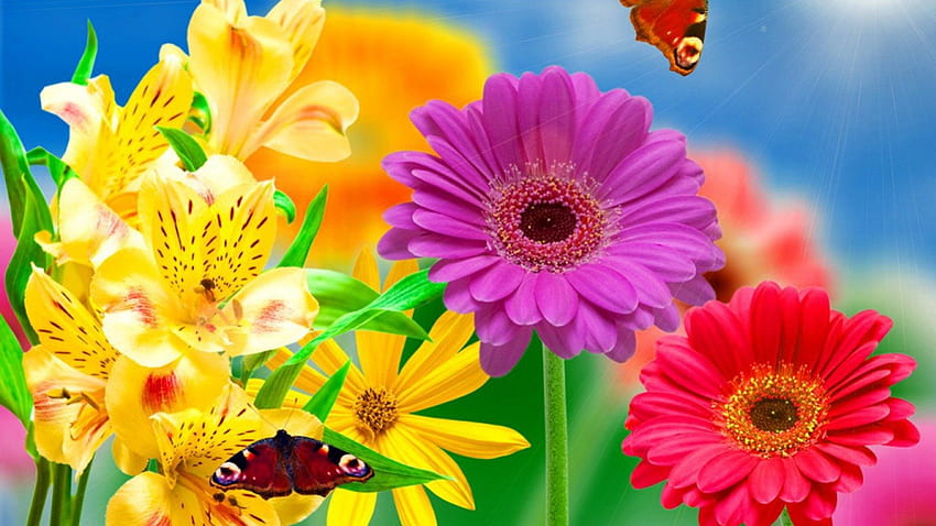 Fajne kolory kwiatów., żółty, różowy, miłość, czerwony Tapeta HD