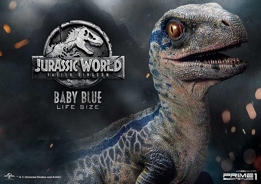 dunia jurassic biru velociraptor Wallpaper HD