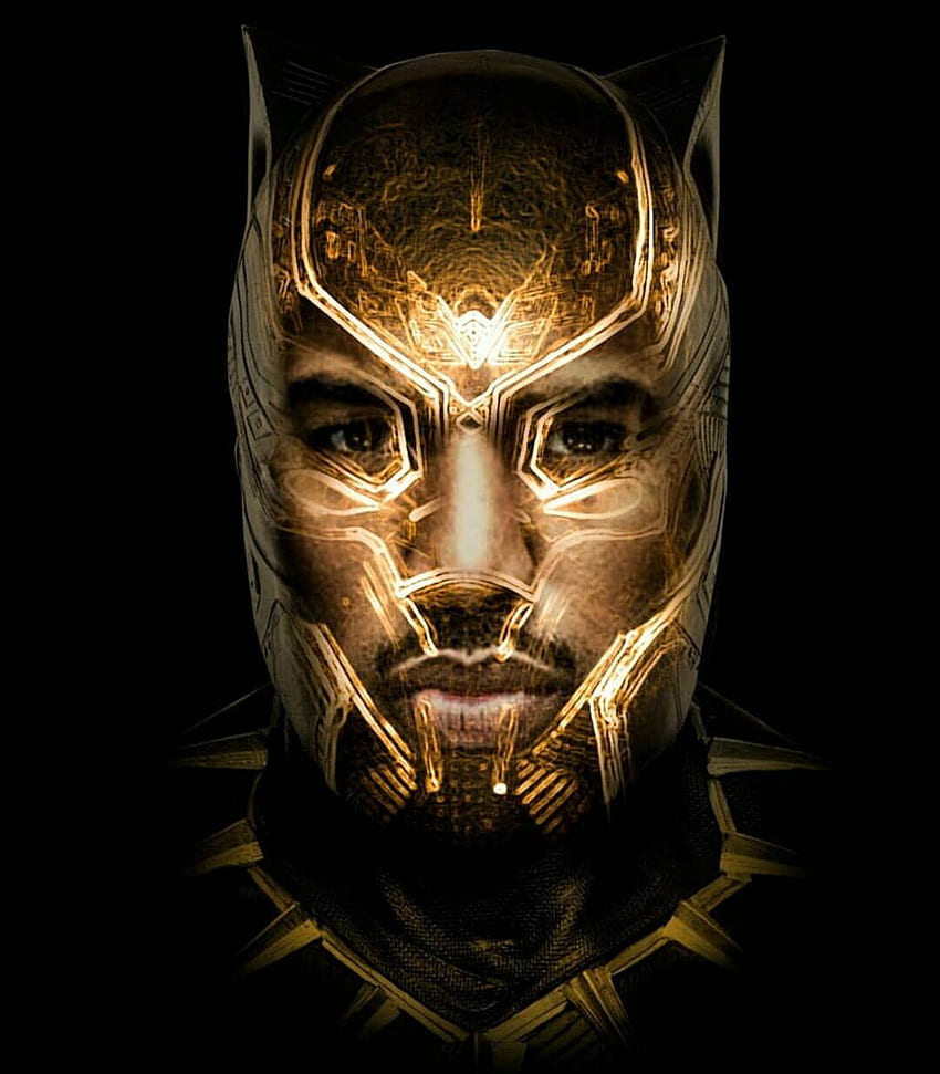 Golden Jaguar, Costume Killmonger Fond d'écran de téléphone HD