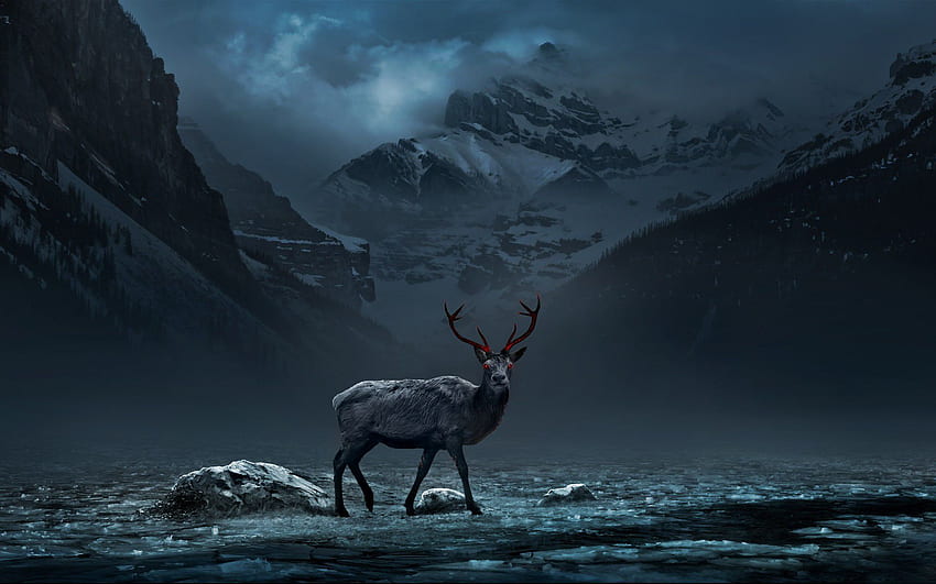 3D Mountain And Deer . 3D and Abstract for Mobile and HD wallpaper